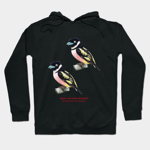 Black-and-yellow Broadbill | Eurylaimus ochromalus ⚥ Hoodie by bona 